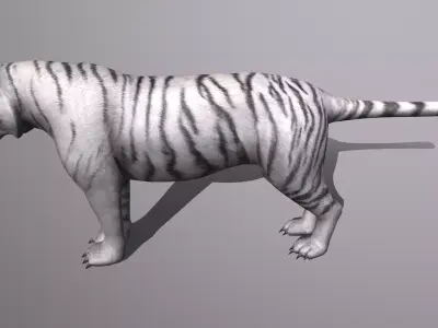tiger Low-poly 3D model
