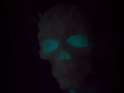 Skull Lamp  3D print model