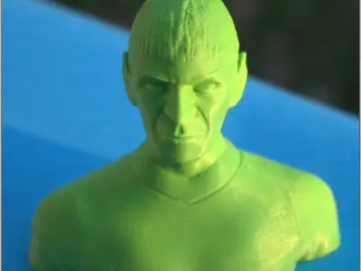 Mr Spock bust 3D print model