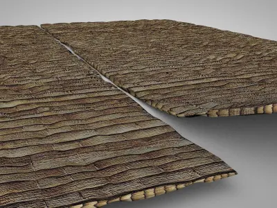 Old Palm Leave Mat 3D model