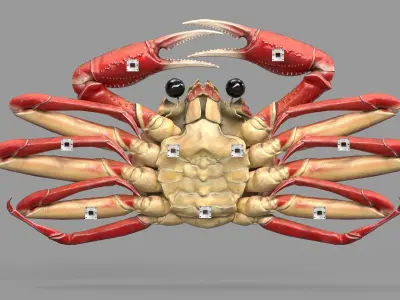 Game Ready Japanese Signs Set Crab Signboard Low-poly 3D model