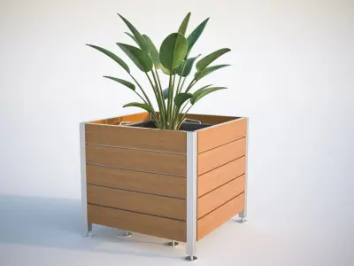 Green plant in a square pot 3D model