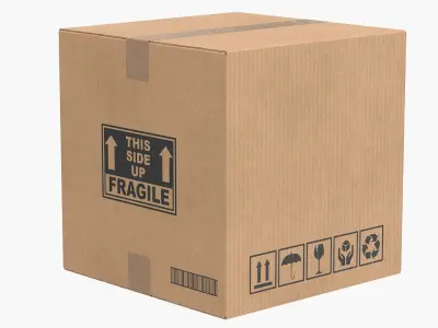 Cardboard Box Closed V1 Collection 