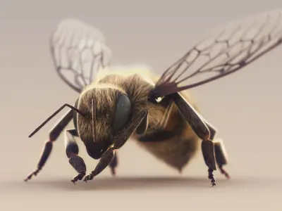  Bee 