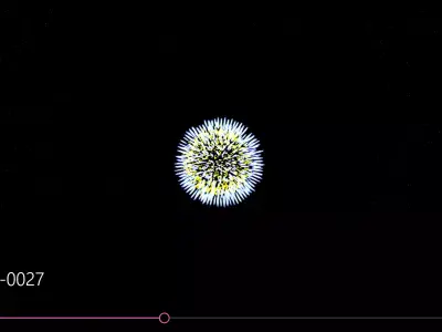 Firework video of dandelion 3D model