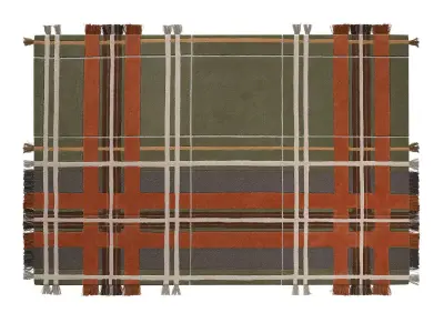 Fergus Carpet 3D model