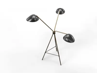 Curvilinear Tripod Floor Lamp 3D model