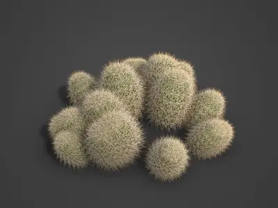 2021 PBR Strawberry Hedgehog - Echinocactus Engelmannii  3D model