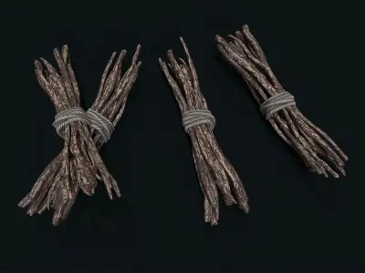 Bunch Stick Low-poly 3D model