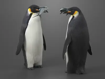  Adult Emperor Penguin Eating Fish Fur 