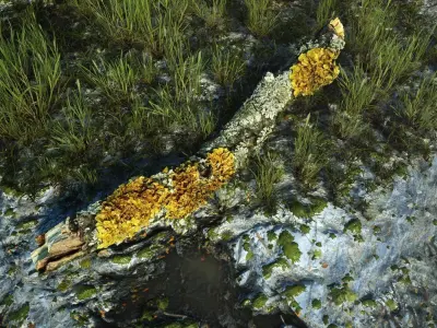 Exterior 002 Plant Tree roots stump 3D model