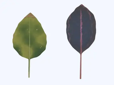 Leaves Low-poly 3D model