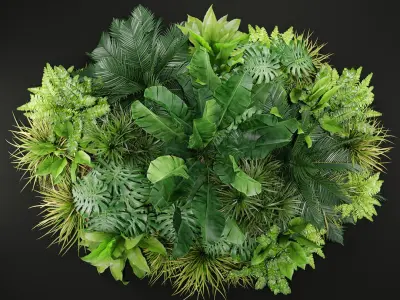  Plants collection 445 