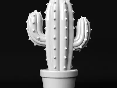 Cactus 3D print model