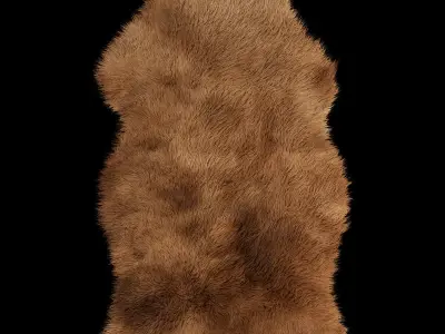 Sheepskin 1 rug 3D model