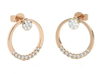 Light wt Women Diamond Earrings  3D print model