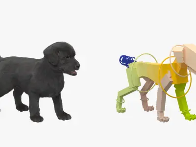  Walking to Running Retriever Puppy Fur Animated Rigged 