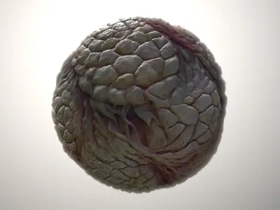 Material Skin Monster 41 Seamless PBR Texture Texture