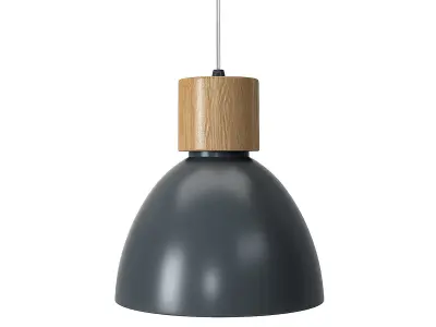 Albany Iron and Wood Bell Pendant 3D model