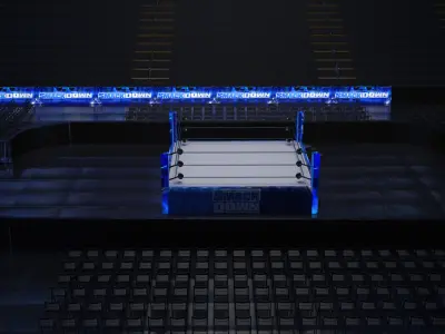WWE Stadium Low-poly 3D model