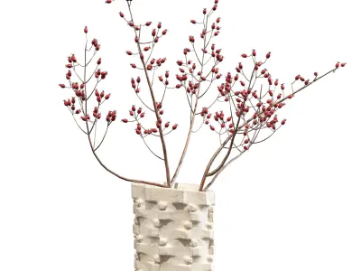 Ceramic Bolt Vase by Floris Wubben Rosehip 3D model