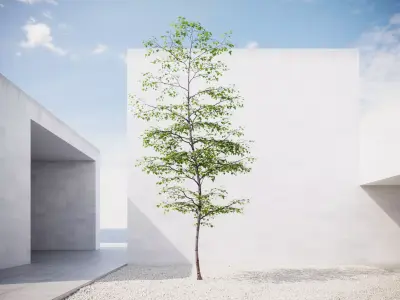 Small spring tree vpt024 3D model