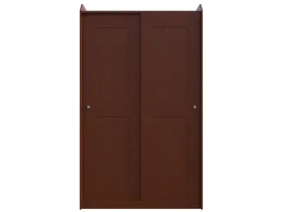 2 Door Sliding Wardrobe 3D model
