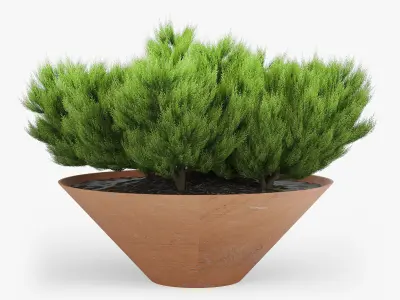 DAMAS BY ARRIOLA FIOL 3D model