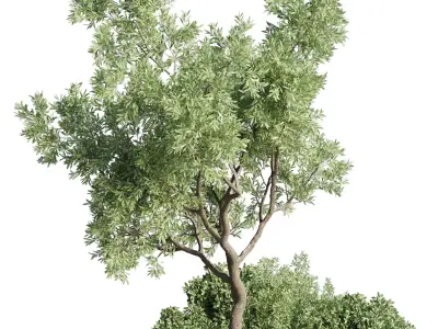 Urban Environment Urban Furniture Green Benches Plants and Tree 3D model