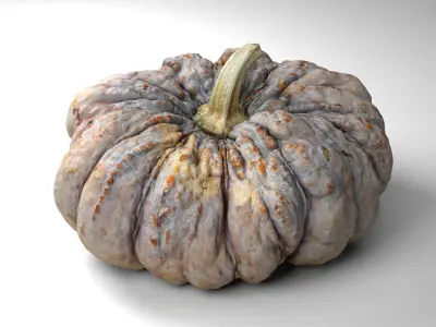 Warty Pumpkin - Photorealistic  Scan Low-poly 3D model
