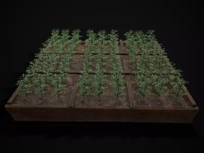 Square Planting Plot with Potatoes Low-poly 3D model