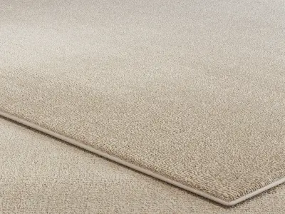 Carpet set 3191 - Hand Knotted Rug - 5k  3D model