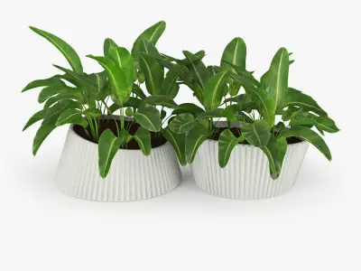 LENA Banana 3D model