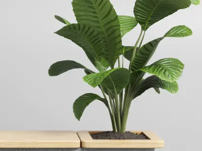 interior - exterior bench Low-poly 3D model