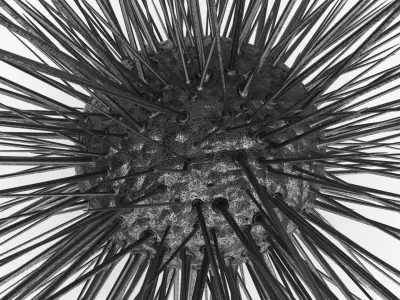  Sea Creatures Collection 