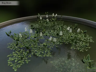 Nature Assets - Lake Plants Low-poly 3D model