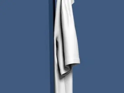 Shirt on wardrobe door 3D model
