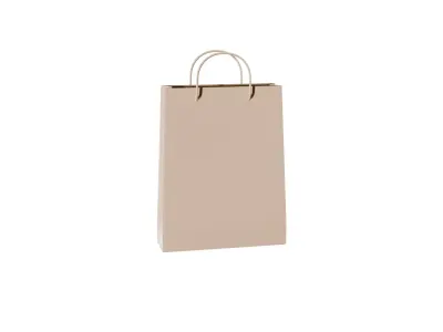 Realistic Shopping Bag  Paper 3D model