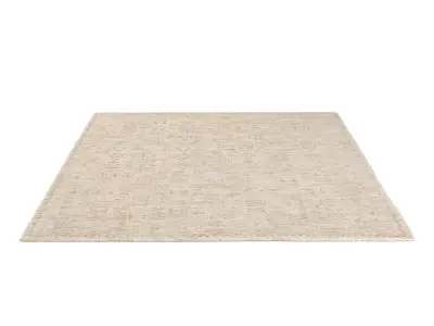 AYLIN WOOL RUG 3D model