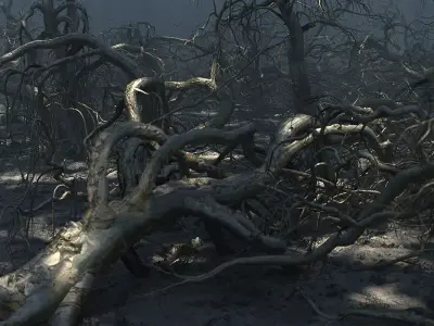 Old Forest Pack 30 3D model