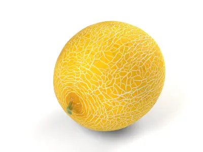 Yellow Japanese Melon - Photorealistic  Scan Low-poly 3D model