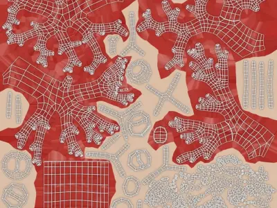  Trachea Lung Bronchial Vessels 