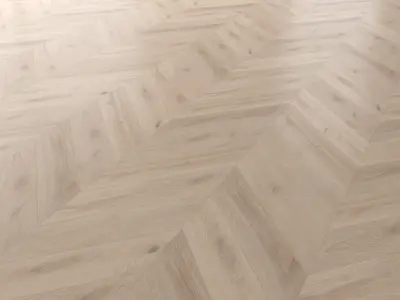 Wood Floor Set 21 Texture