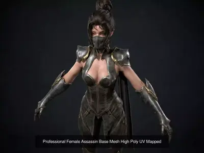 Ultimate Female Hot Fantasy Warrior Collection 7Model MegaBundle 3D Model Pack