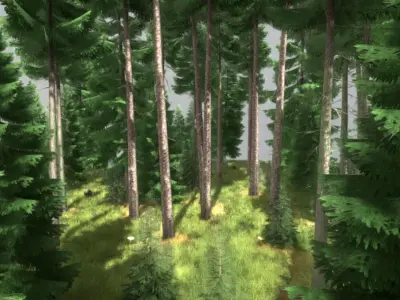 Spruce Forest Scene Low-poly 3D model