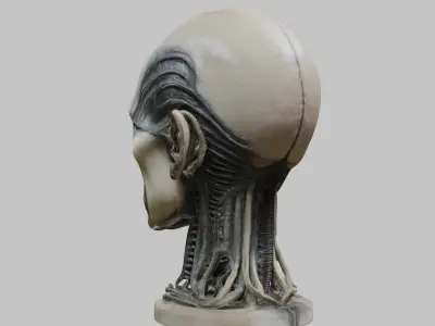 Portrait of a man HR Giger Style Human Head Bust 4 Low-poly 3D model