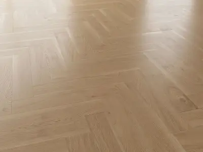 Parquet Oak Natural Brushed set 4 3D model