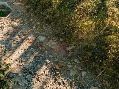 roads and paths  - gameready asset library Low-poly 3D model