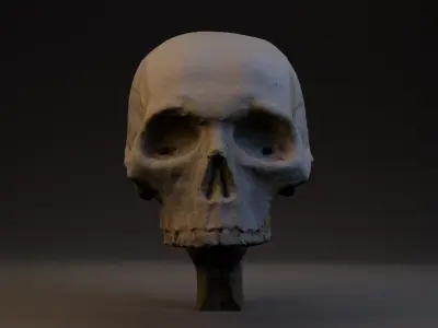 Photogrammetry Realistic Skull 8k 3D model