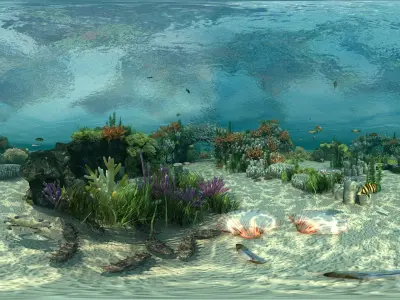  Ocean floor coral reefs Shoal of fish 